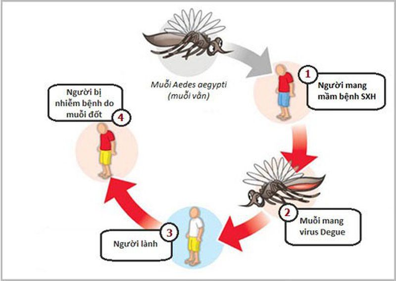 BÀI TUYÊN TRUYỀN PHÒNG CHỐNG DỊCH BỆNH SỐT XUẤT HUYẾT
